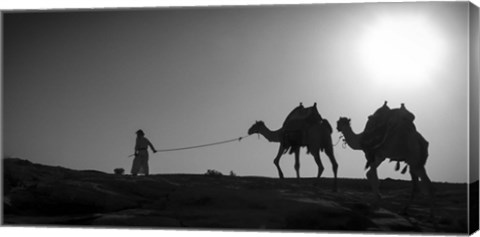 Framed Camel Trip, Jordan Print