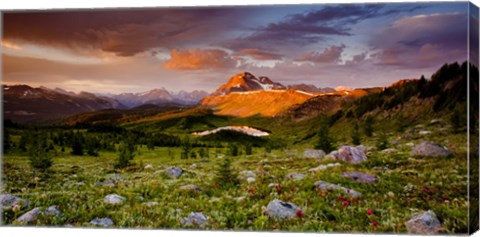 Framed Emerging Glory Print