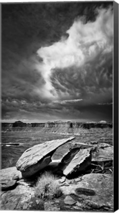 Framed Desert Mood Print