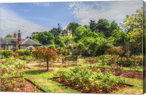 Framed Garden 2 Print