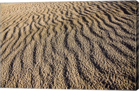 Framed Canunda National Park Print