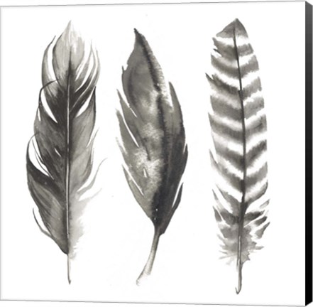 Framed Watercolor Feathers I Print