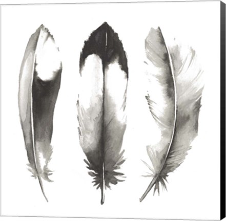 Framed Watercolor Feathers II Print