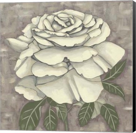 Framed Silver Rose II Print