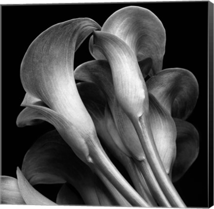 Framed Lillies2 Print