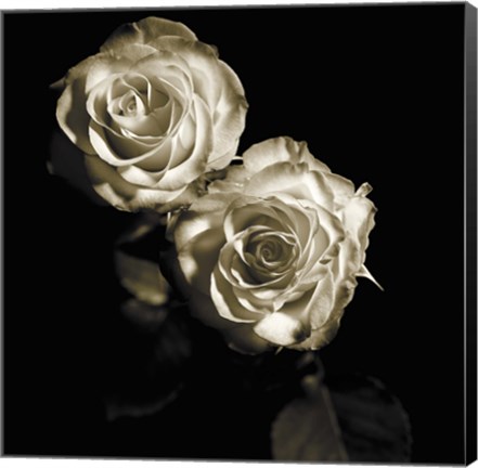 Framed Circus Roses Print