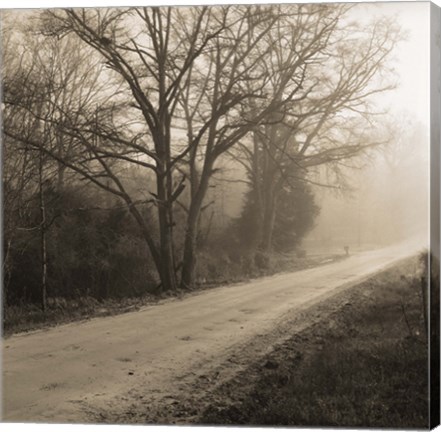 Framed Veras Road Print