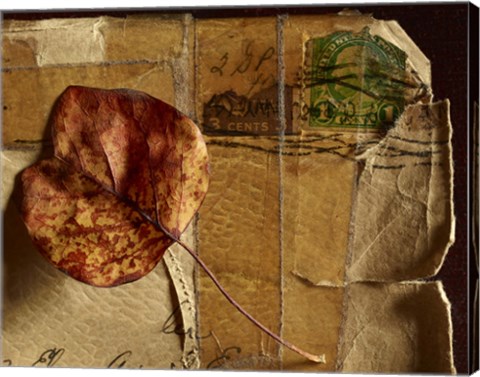 Framed Leaf Envelope Print