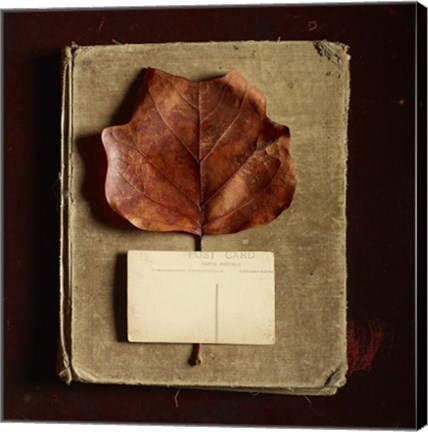 Framed Postcard Print