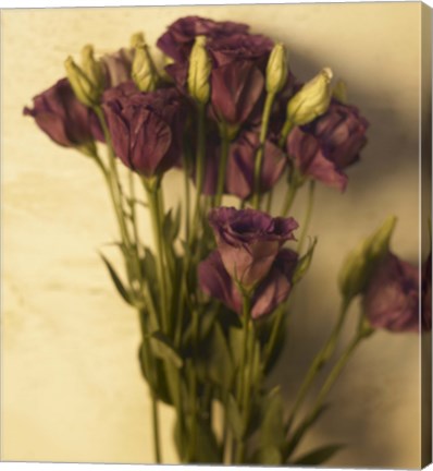 Framed Lisianthus Print