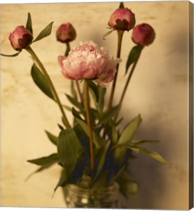 Framed Peonies Print