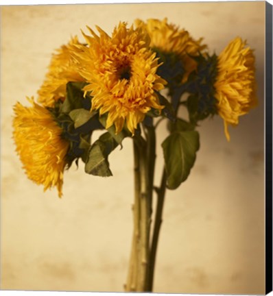 Framed Sunflowers Print