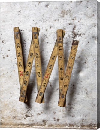 Framed Ruler 3 Print