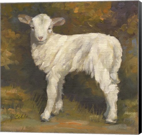 Framed Snow Drop Print