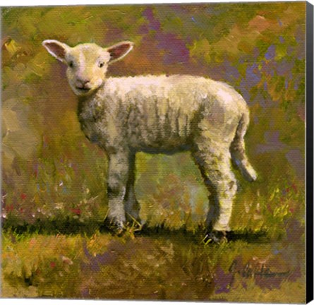 Framed Leap Year Lamb Print