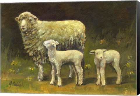 Framed Dolly's Twins Print