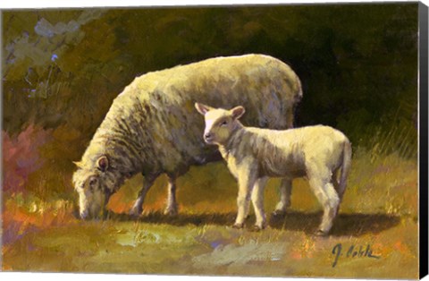 Framed Spring Lamb Print
