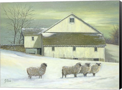 Framed Sheep At Granough Print