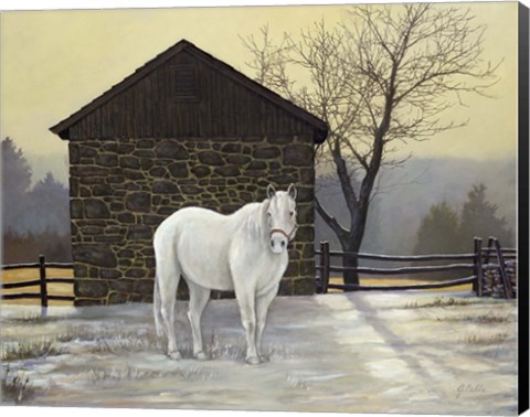 Framed Mare Shed Print