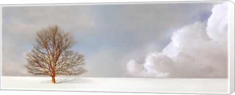 Framed Alone in the Whiteness Print