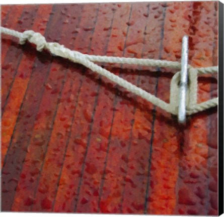 Framed Nautical Closeups 22 Print