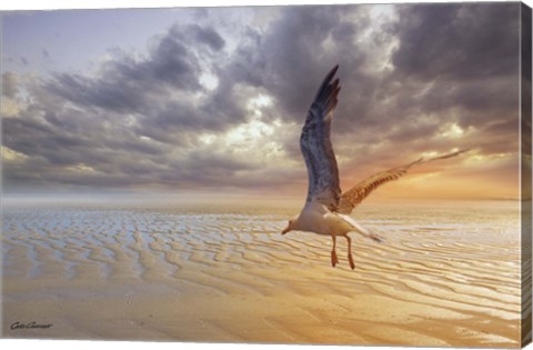 Framed Soft Sunrise on the Beach 5 Print