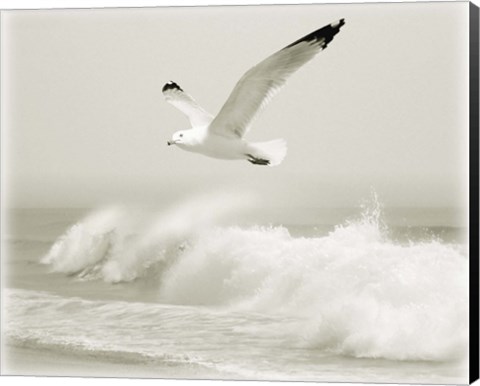 Framed Time Out 5 Print