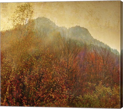 Framed Autumn Colors 2 Print