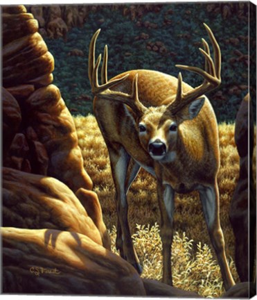 Framed Double Take Print