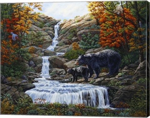 Framed Black Bear Falls Print