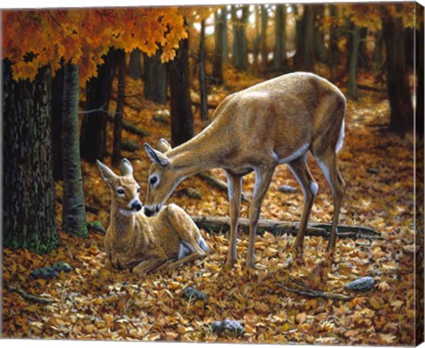 Framed Autumn Innocence II Print