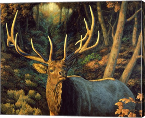 Framed Autumn Majesty Print