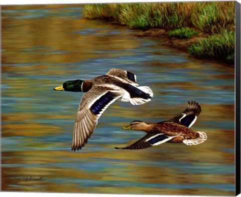 Framed Golden Pond Print