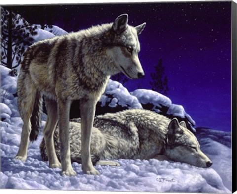 Framed Night Watch Print