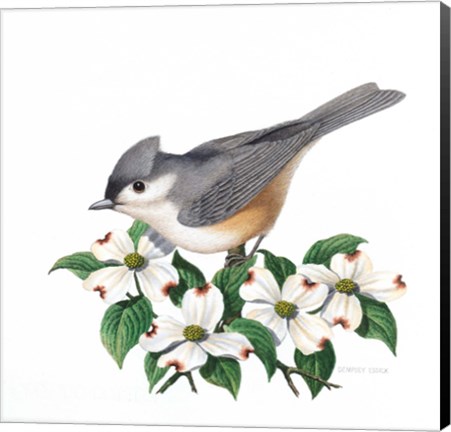 Framed Studio Friends - Titmouse Print