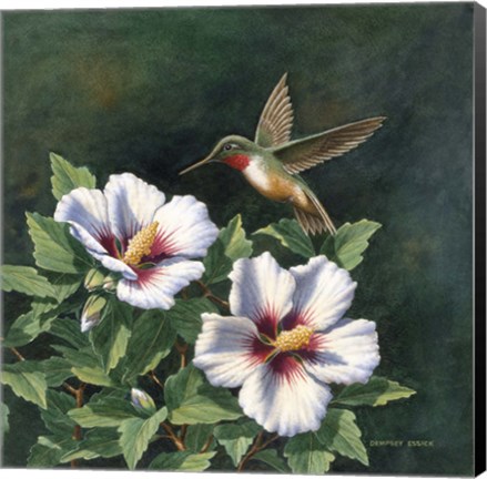 Framed Hummer&#39;s Choice Print