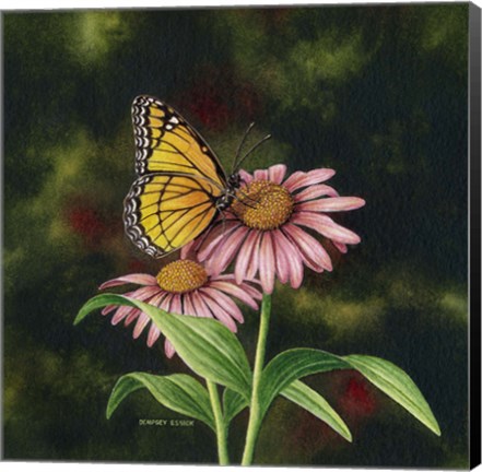 Framed Coneflower of Choice 1 Print