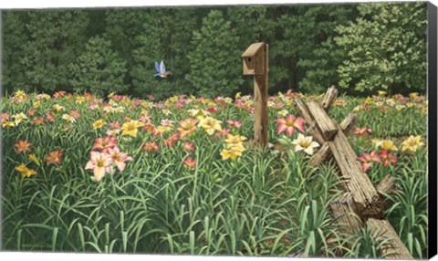 Framed Daylily Days Print
