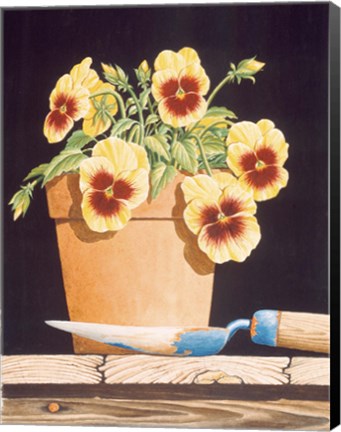 Framed Potted Pansies Print