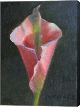 Framed Pink Cala Lily Print