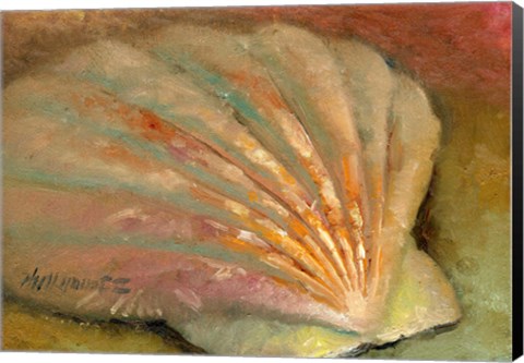 Framed Scallop Seashell Print