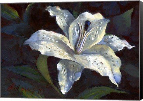 Framed White Lily Print