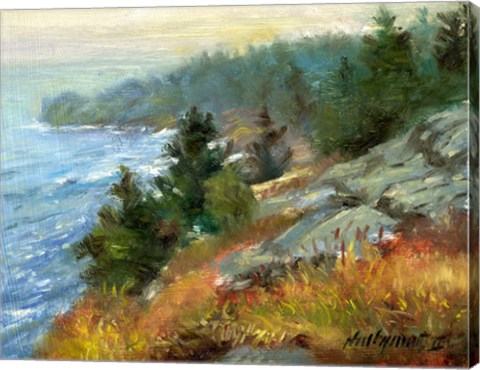 Framed White Head, Monhegan Island, Maine Print