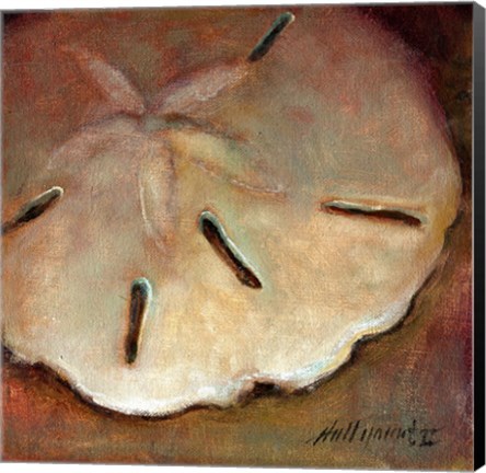 Framed Sand Dollar Print