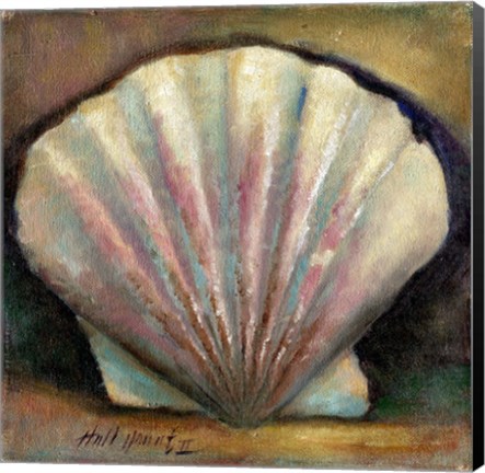 Framed Scallop Print