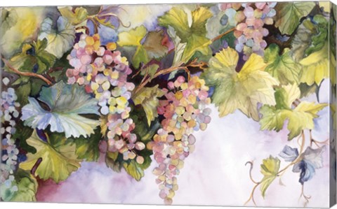 Framed Grapes On The Vine Print