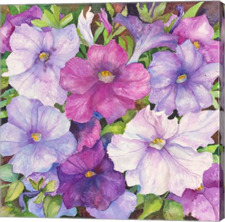Framed Petunias Print