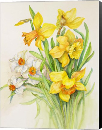 Framed Daffodils- Springs Calling Card Print
