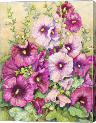 Framed Hollyhocks In Evening Glow Print