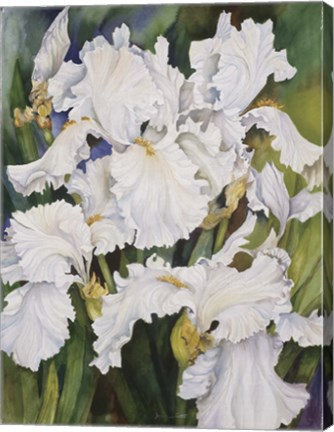 Framed White Iris Print